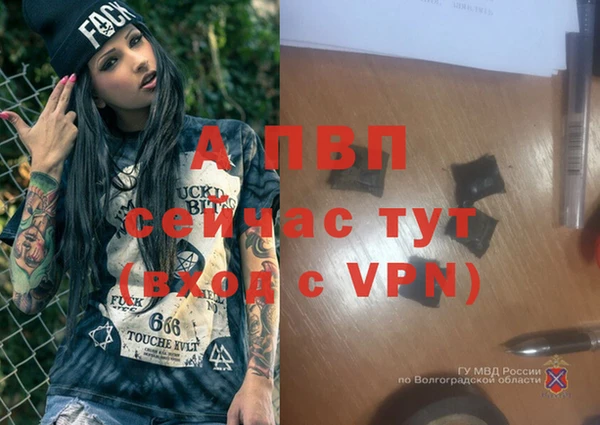 гидра Кукмор
