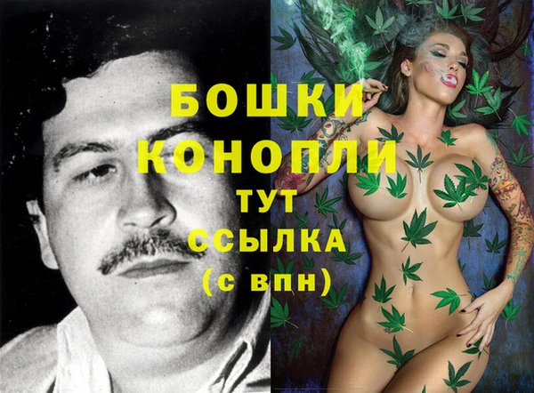гидра Кукмор