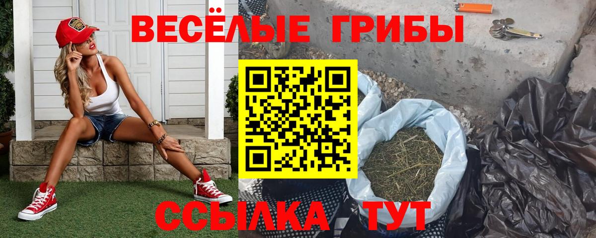 Галлюциногенные грибы Cubensis Лабытнанги