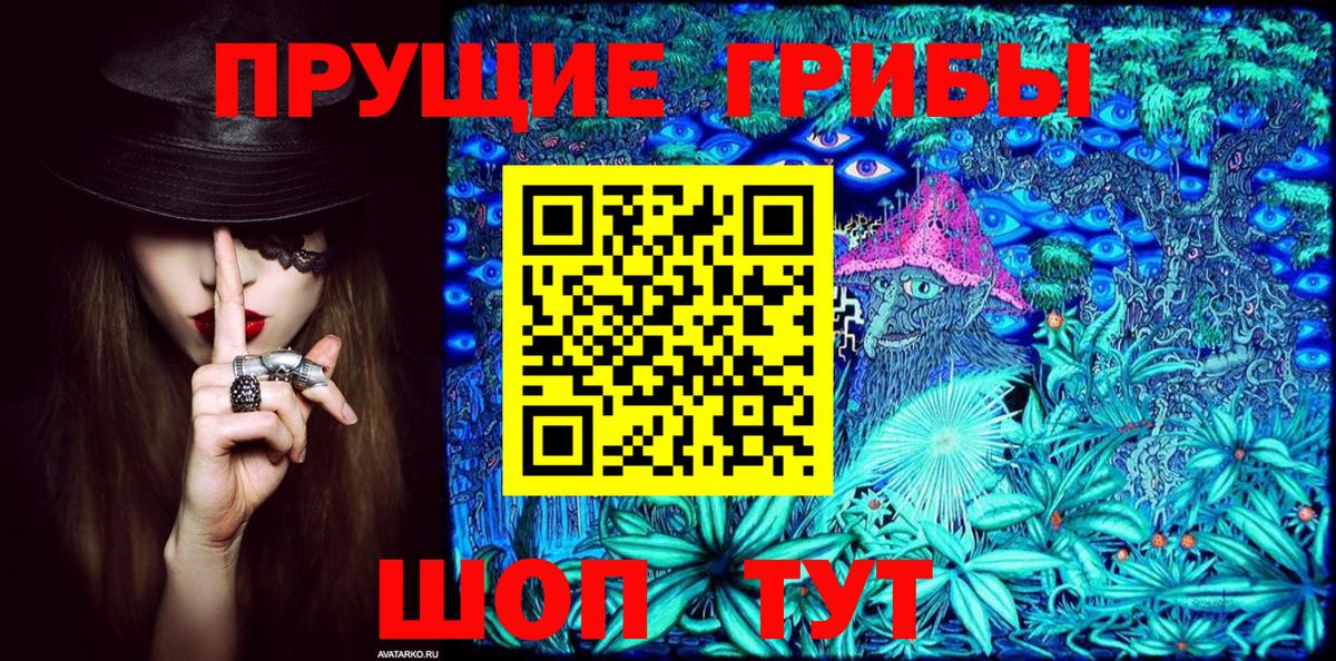 Псилоцибиновые грибы Psilocybe Лабытнанги