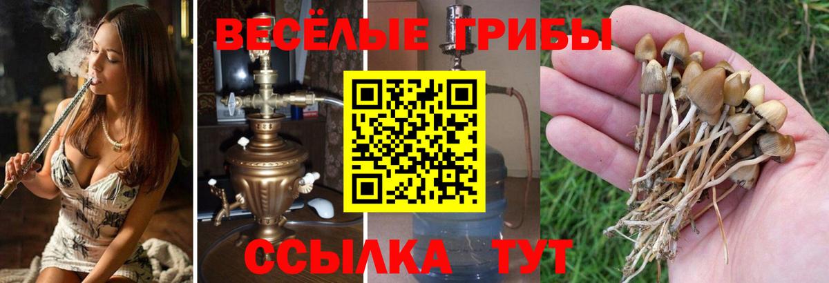 Псилоцибиновые грибы мухоморы  Вход с VPN  Лабытнанги 